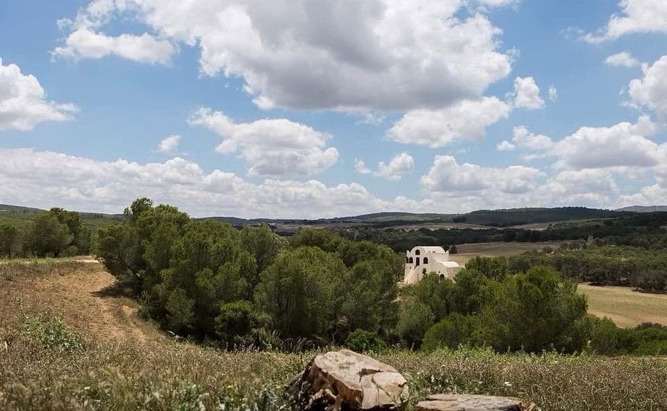 Ksar Ezzit 51